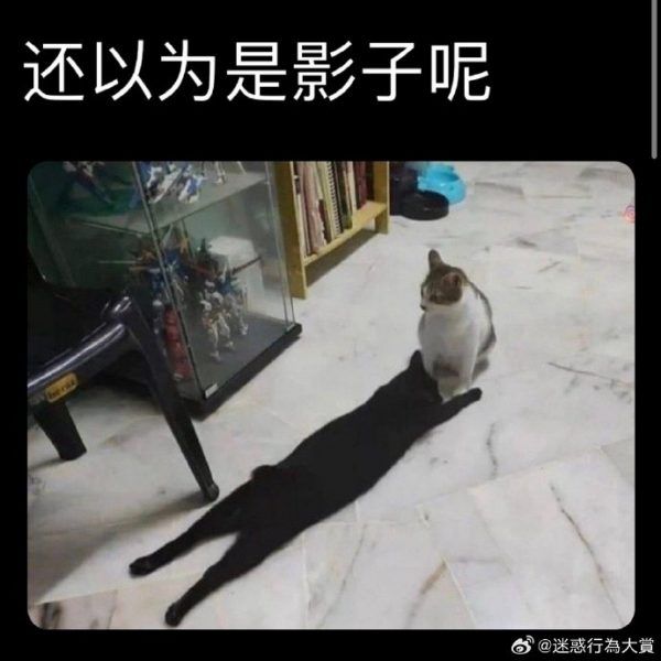 20240219 220915