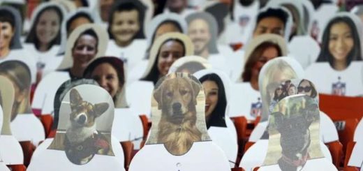 3b292df5e0fe9925ee08c2f591105ad78cb1714b