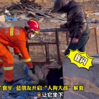 003Sf5o2ly1gxi6ip9ojtj60v40hktcp02