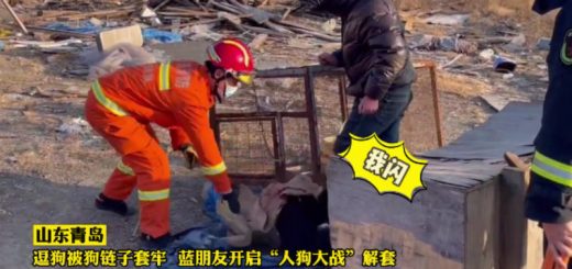 003Sf5o2ly1gxi6ip9ojtj60v40hktcp02