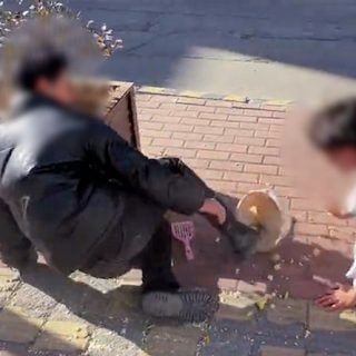 005CeWmGly1gxnm933r78j31hc0u0dlc