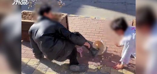 005CeWmGly1gxnm933r78j31hc0u0dlc