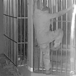 0077xNjNly8gx7pg3awabj30ku0bqmyf