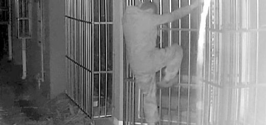 0077xNjNly8gx7pg3awabj30ku0bqmyf