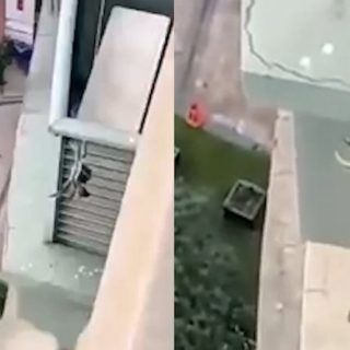 00828iRkly1gxdoex7720j318p0p5wht