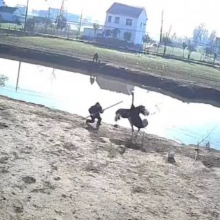 0089lW6tly1gx2uiomm0mj31hc0u07cq