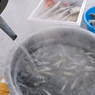 005CeWmGly1gyde6vm1loj31hc0u0teh