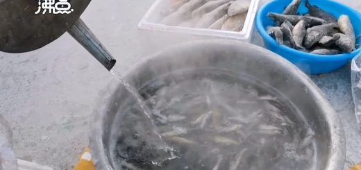 005CeWmGly1gyde6vm1loj31hc0u0teh