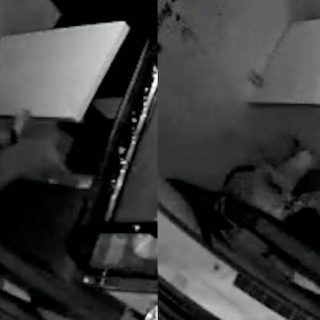 0089lW6tly1gyemcyelcfj31hc0u0tbs