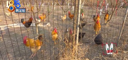 8b207e62ly1gxzmdbk72vj21hc0u0jya