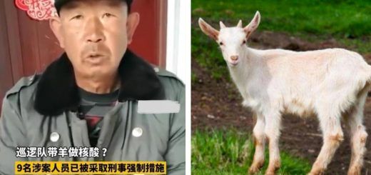 Pasted1647697473 e1647697484627