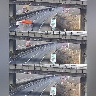 Pasted1648128371 e1648128385728