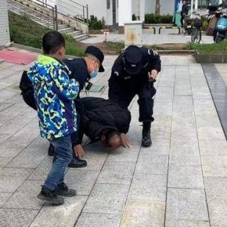 Pasted1648136557 e1648136569433