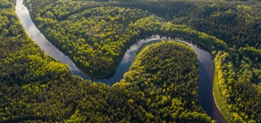 Pasted1649724505 e1649724515187