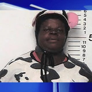 Pasted1649858082 e1649858091478