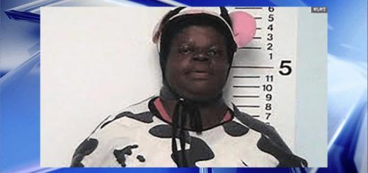 Pasted1649858082 e1649858091478