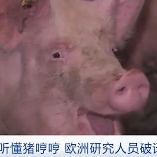 Pasted1650377010 e1650377021615