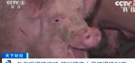 Pasted1650377010 e1650377021615