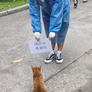 Pasted1650467773 e1650467788334