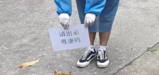 Pasted1650467773 e1650467788334