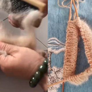 Pasted1650810042 e1650810051626