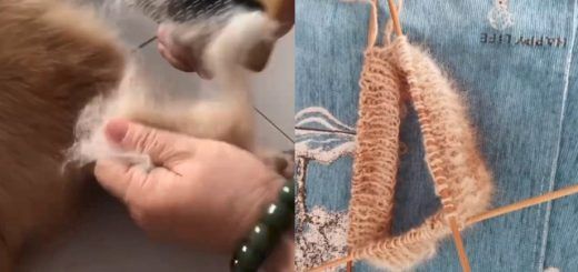 Pasted1650810042 e1650810051626