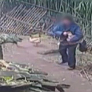 Pasted1652017046 e1652017076955