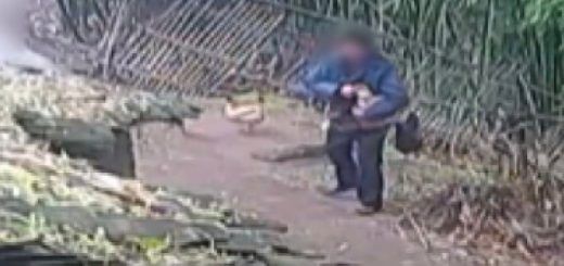 Pasted1652017046 e1652017076955