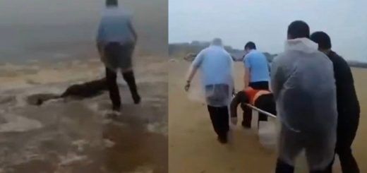 Pasted1652363618 e1652363638432