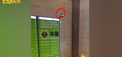 Pasted1652712612 e1652712627442