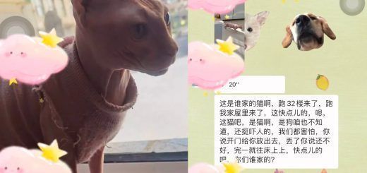 Pasted1652801357 e1652801366519