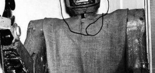 Pasted1652884048 e1652884071924