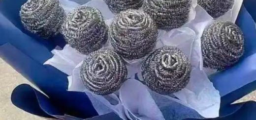 Pasted1653057030 e1653057045382