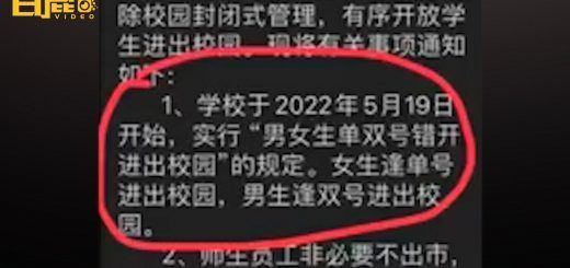 Pasted1653404353 e1653404368136