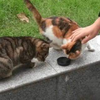 Pasted1653577454 e1653577465860