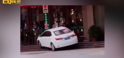 Pasted1653830276 e1653830296650