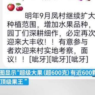 006Cx83ply1h3nngyze28j30zk0k00ux