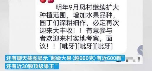 006Cx83ply1h3nngyze28j30zk0k00ux