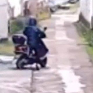 0089lW6tly1h3n2a7hx2ij31hc0u0q7a