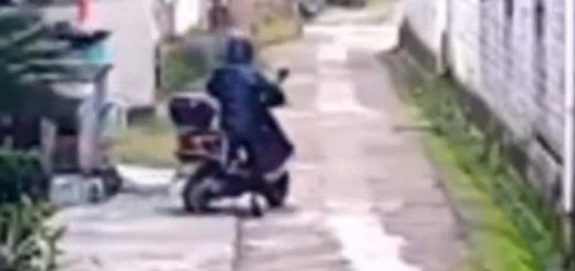 0089lW6tly1h3n2a7hx2ij31hc0u0q7a