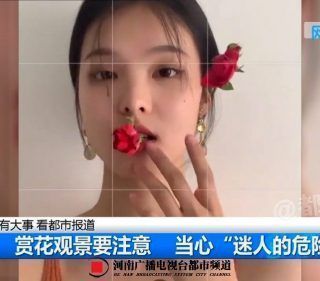 Pasted1655219698 e1655219709509