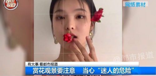 Pasted1655219698 e1655219709509