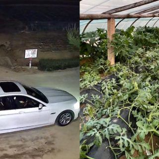 0089lW6tly1h3u0au4f6fj31hc0u049i