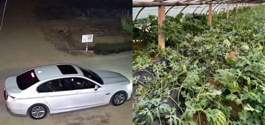 0089lW6tly1h3u0au4f6fj31hc0u049i