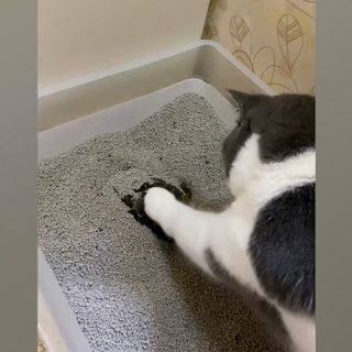 008gE3ssly1h430ooww9zj31hc0u0q7x