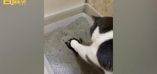 008gE3ssly1h430ooww9zj31hc0u0q7x