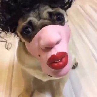 烈焰红唇，致命的情欲之火，欲火焚身！