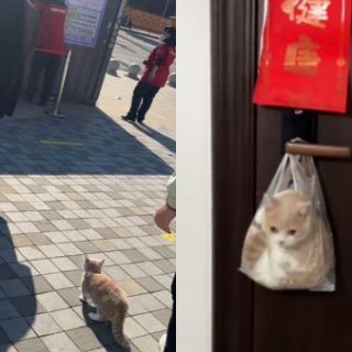 20221009 220821 e1665324514466