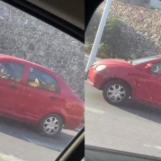 20221102 234054 e1667403685995