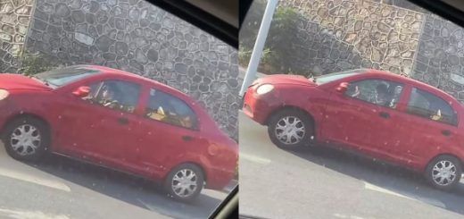 20221102 234054 e1667403685995